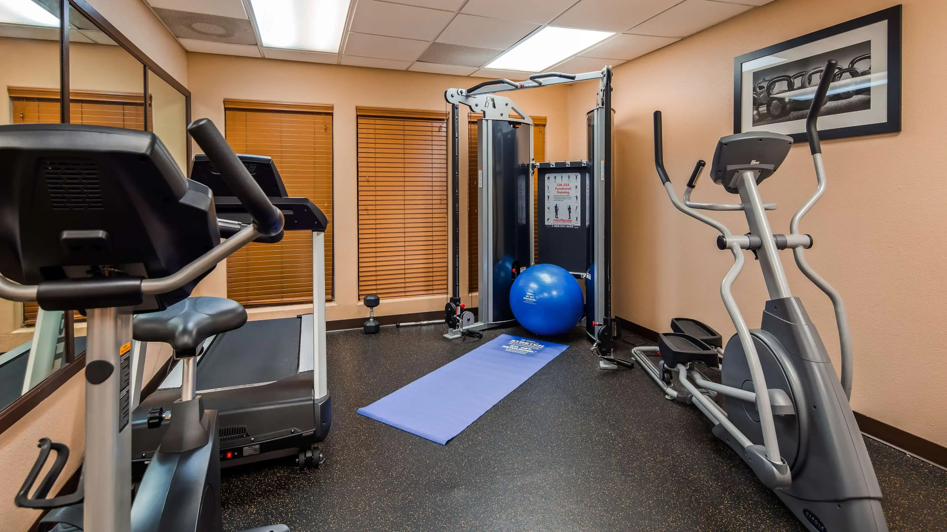 Foto - Best Western Plus The Woodlands