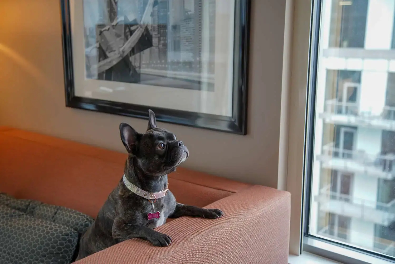 Photo - Homewood Suites by Hilton Chicago West Loop Fulton Mkt Area