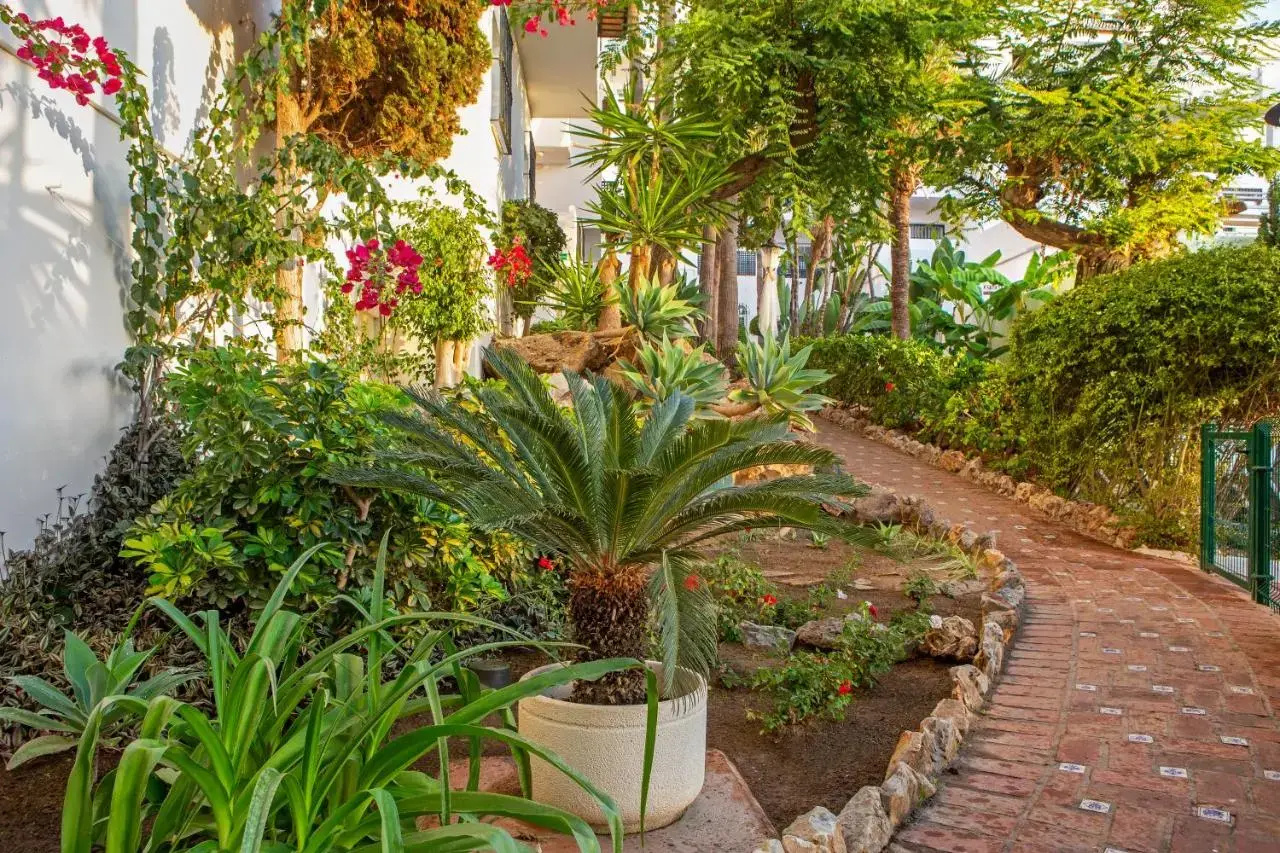 Foto - Royal Oasis Club at Pueblo Quinta
