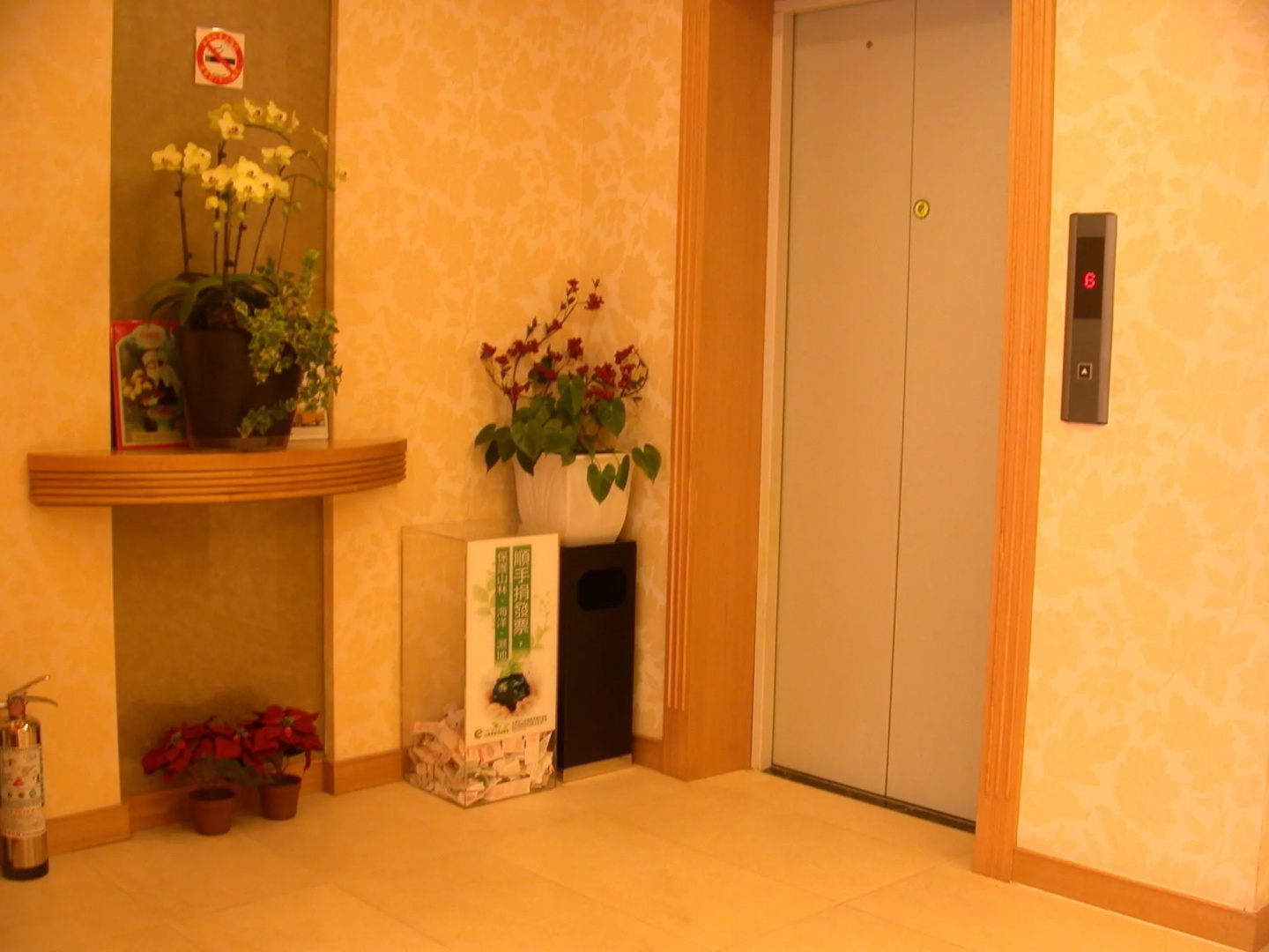 Photo - Hotel Color