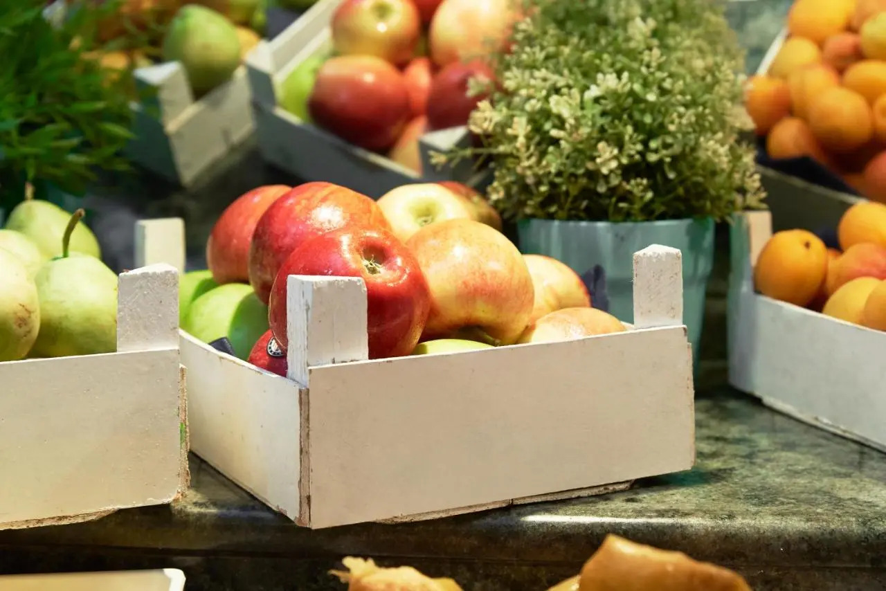 Foto - Checkin Garbí