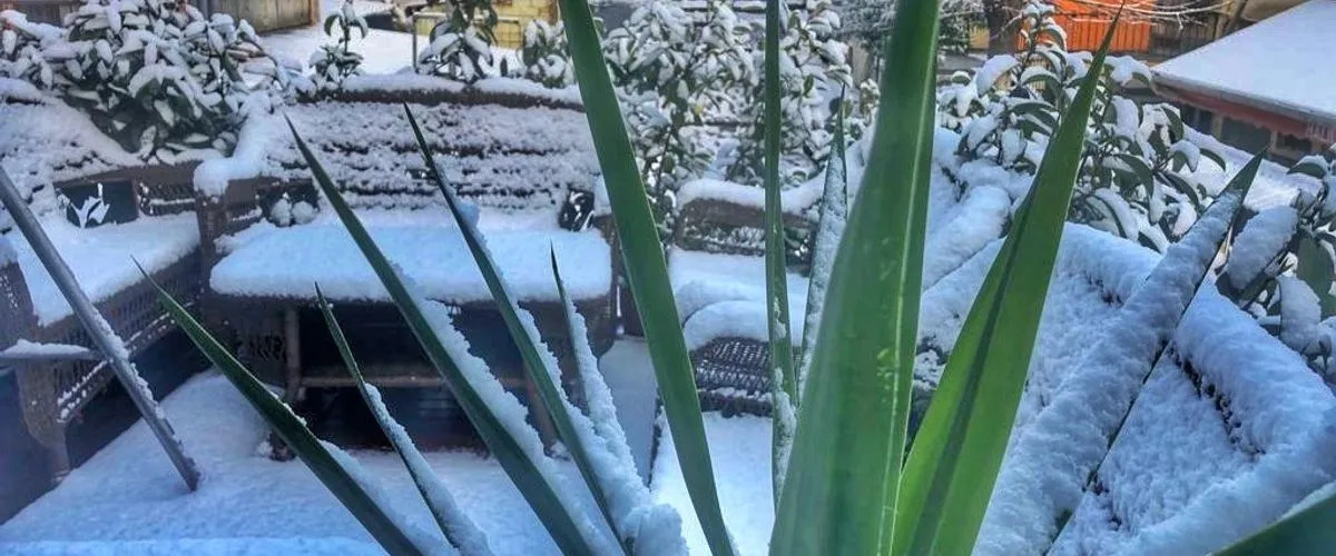 Foto - Kadıköy Suite