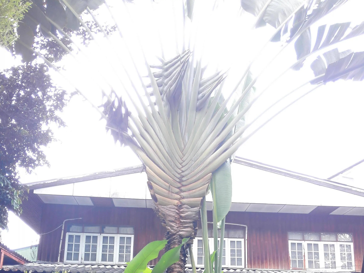 Foto - Elegant Lanna Guesthouse