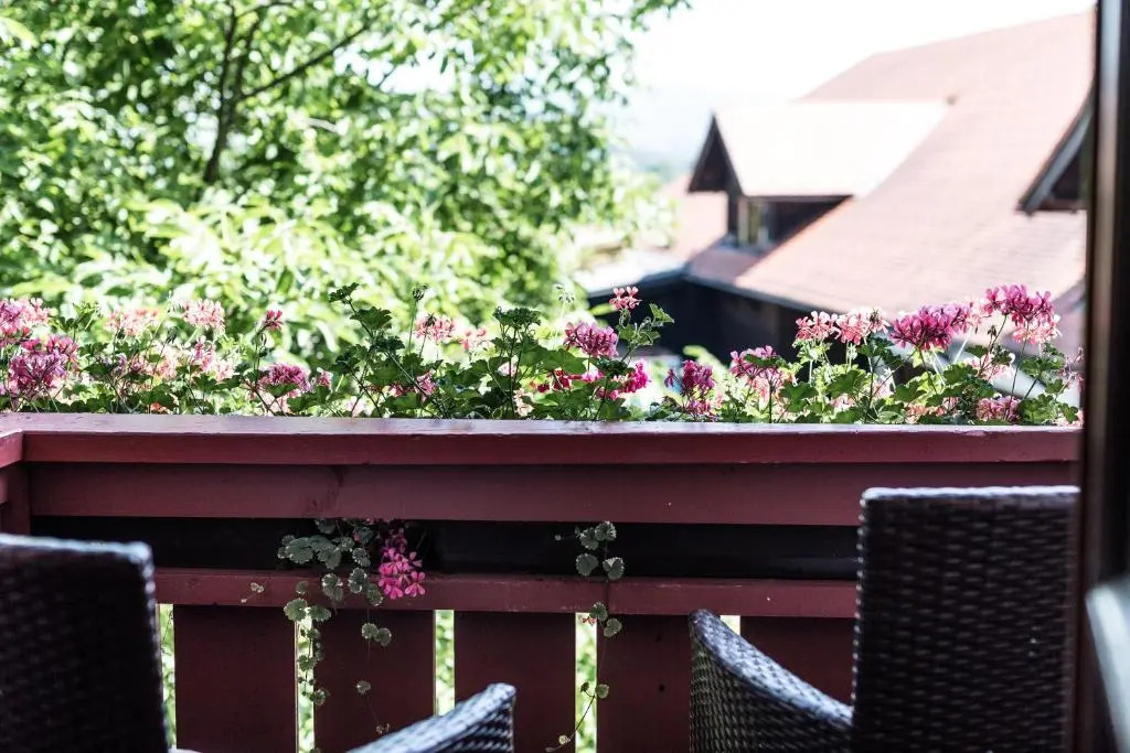 Foto - Salzburg Hotel Holznerwirt