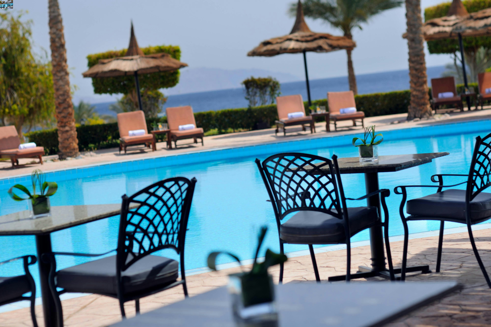 Foto - Renaissance Sharm El Sheikh Golden View Beach Resort