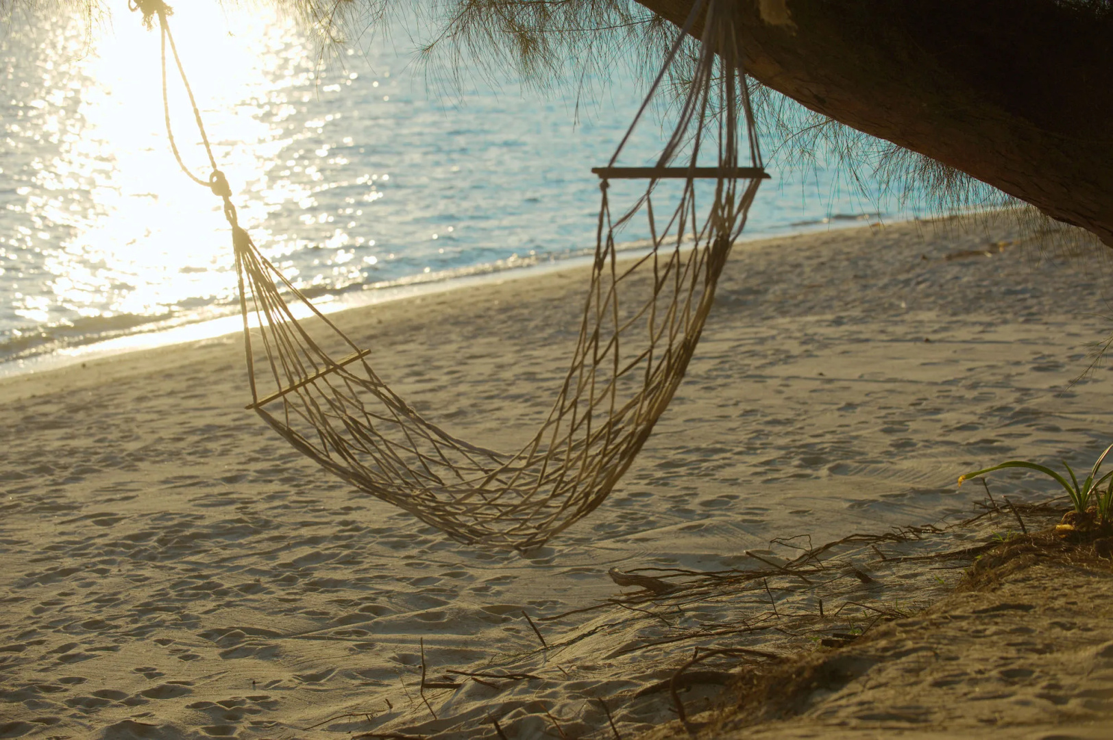 Foto - The Siam Residence Boutique Resort
