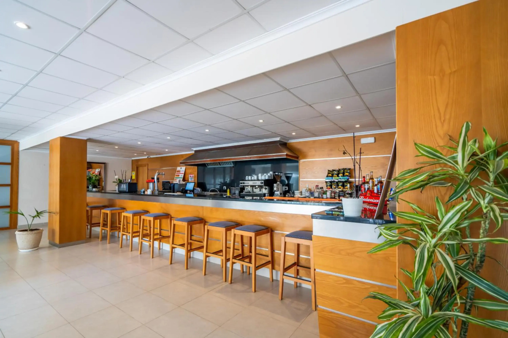 Foto - Club Can Bossa