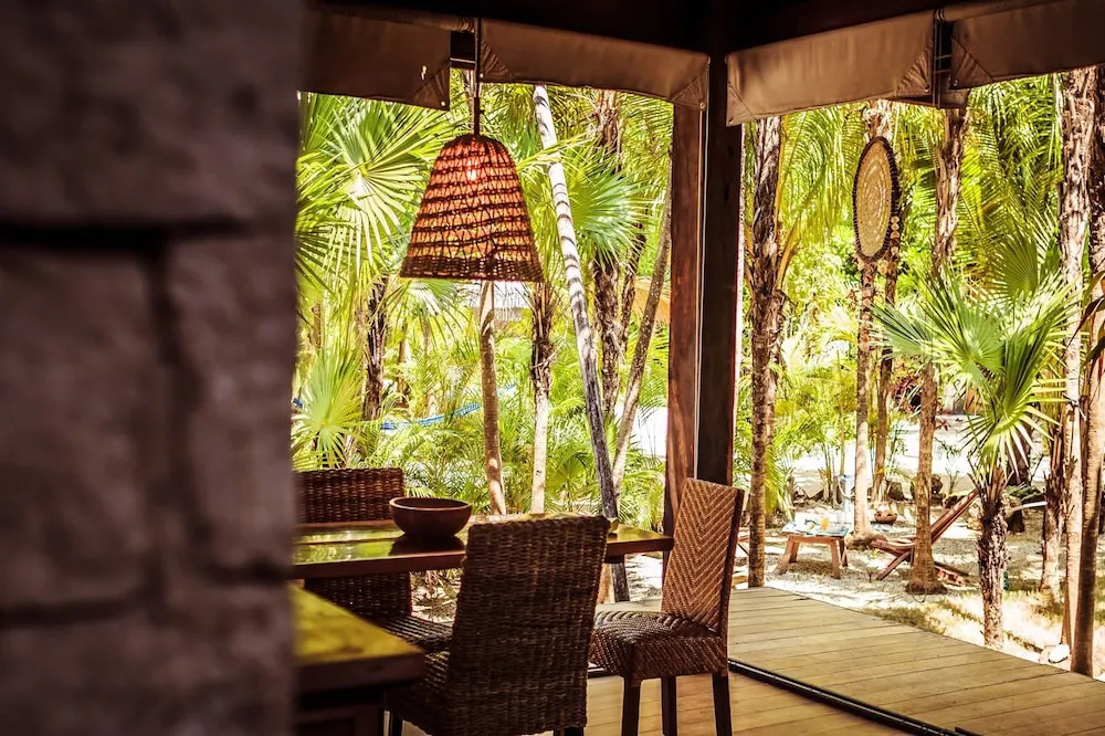 Foto - Vida Silvestre Tulum