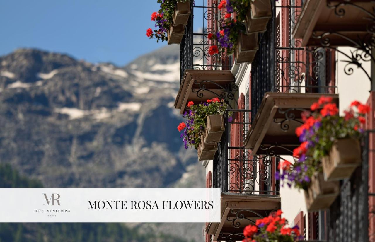 Foto - Hotel Monte Rosa