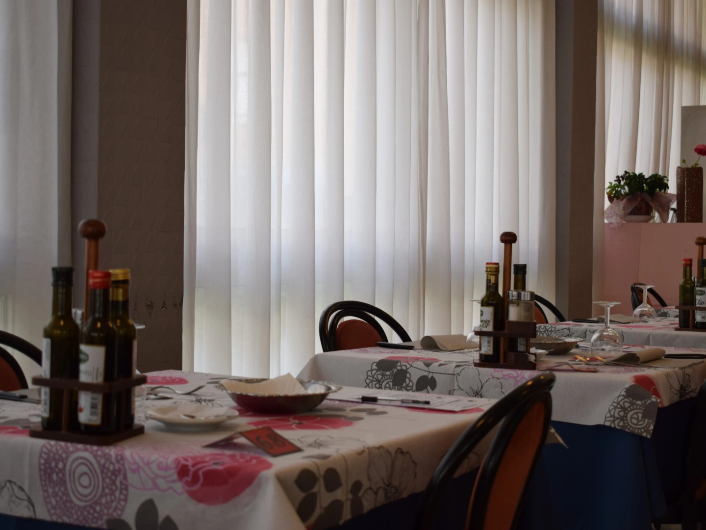 Foto - Hotel Bamby
