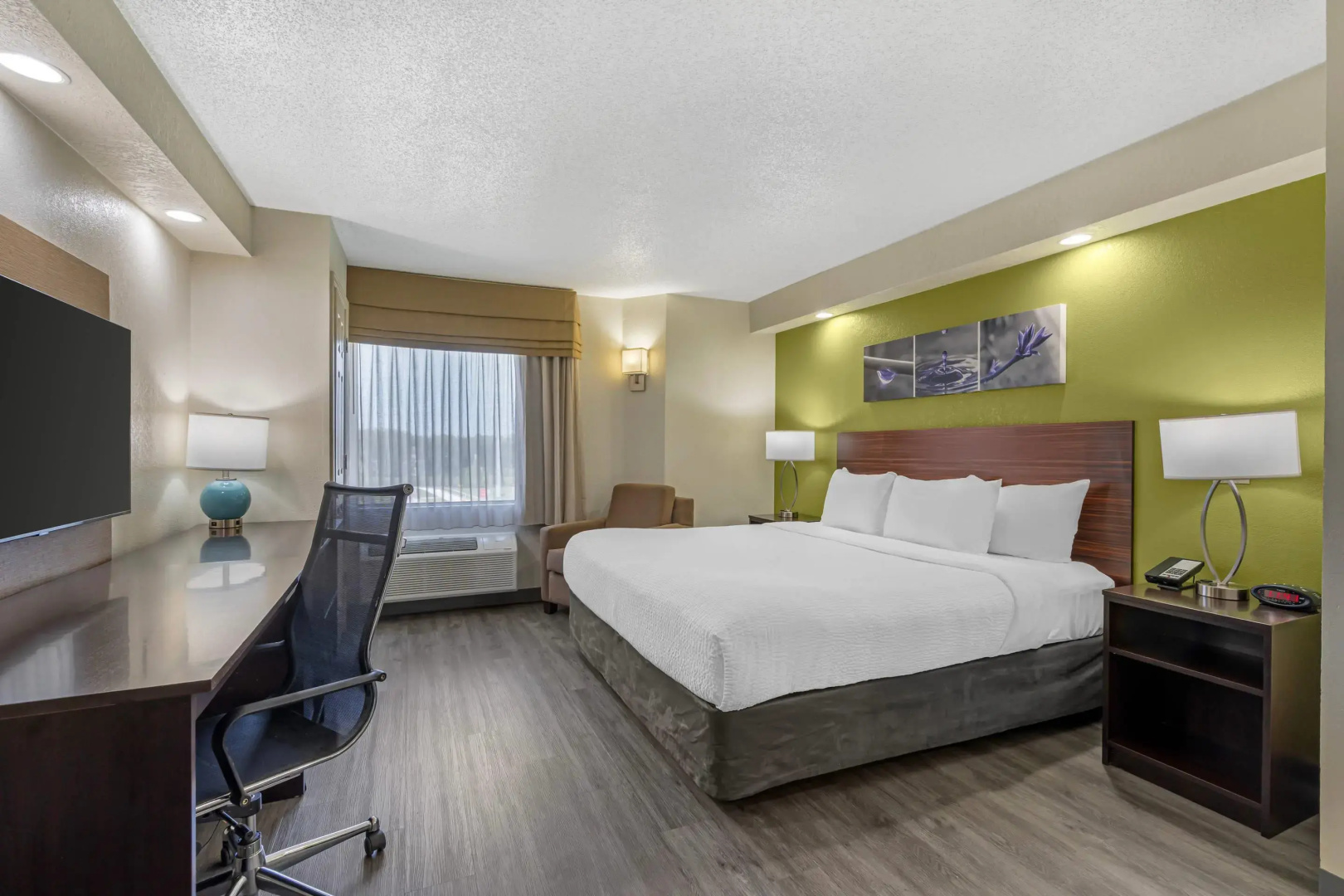 Photo - Sleep Inn near Busch Gardens/USF