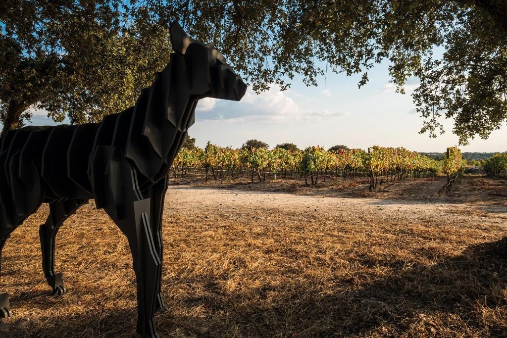 Herdade da Rocha Boutique Lodge, Bild 17 von 18
