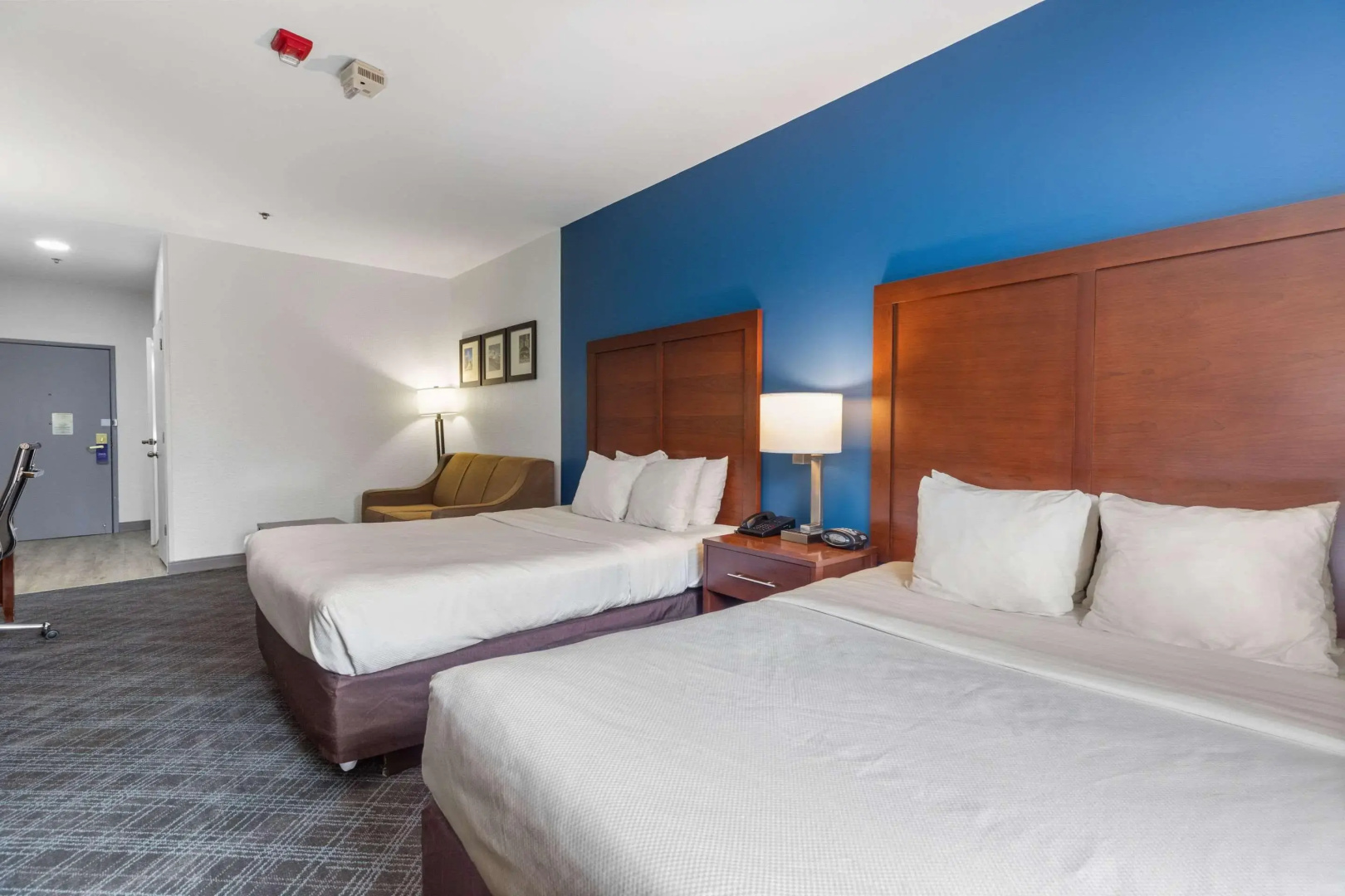 Photo - Comfort Suites Lombard - Addison
