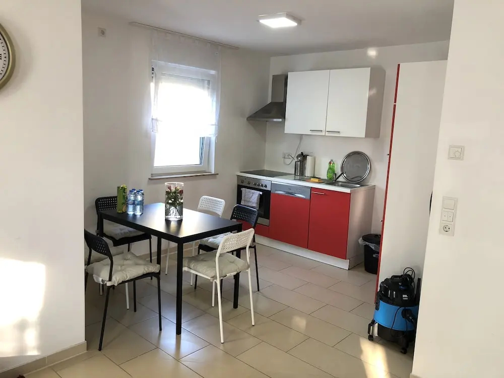 Photo - Sahara Falcon