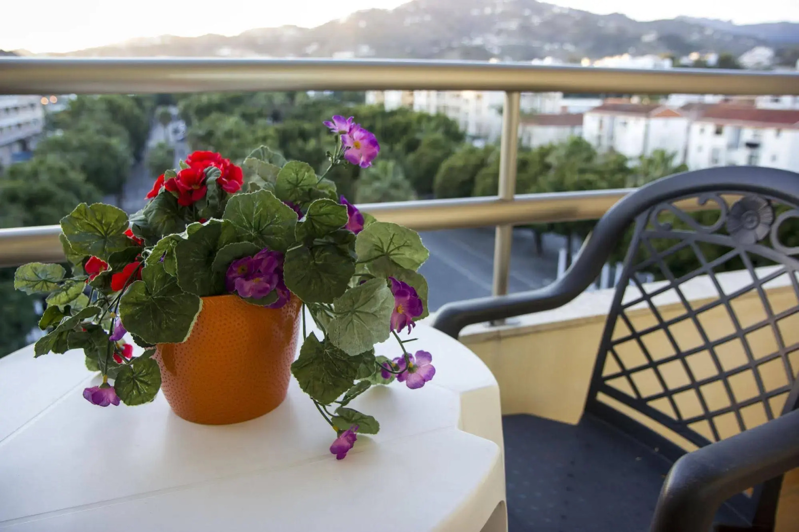 Foto - Hotel Toboso Almuñécar