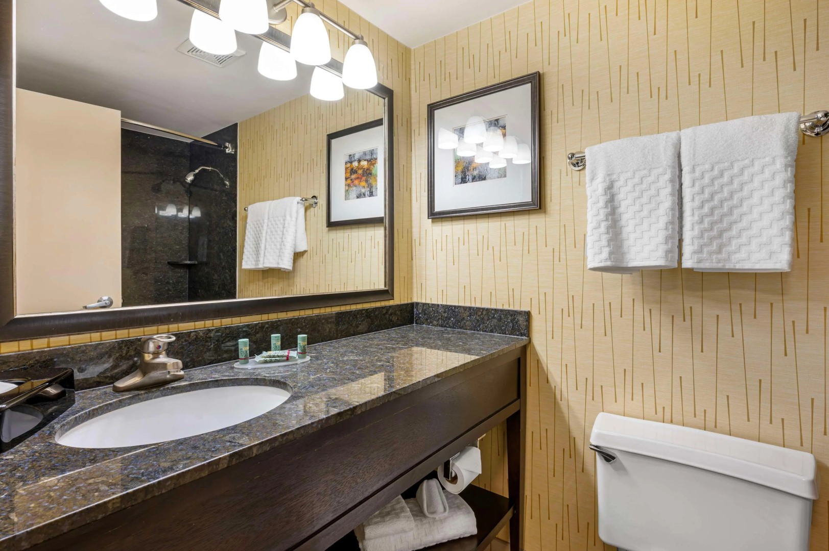 Foto - Best Western Chicago - Downers Grove