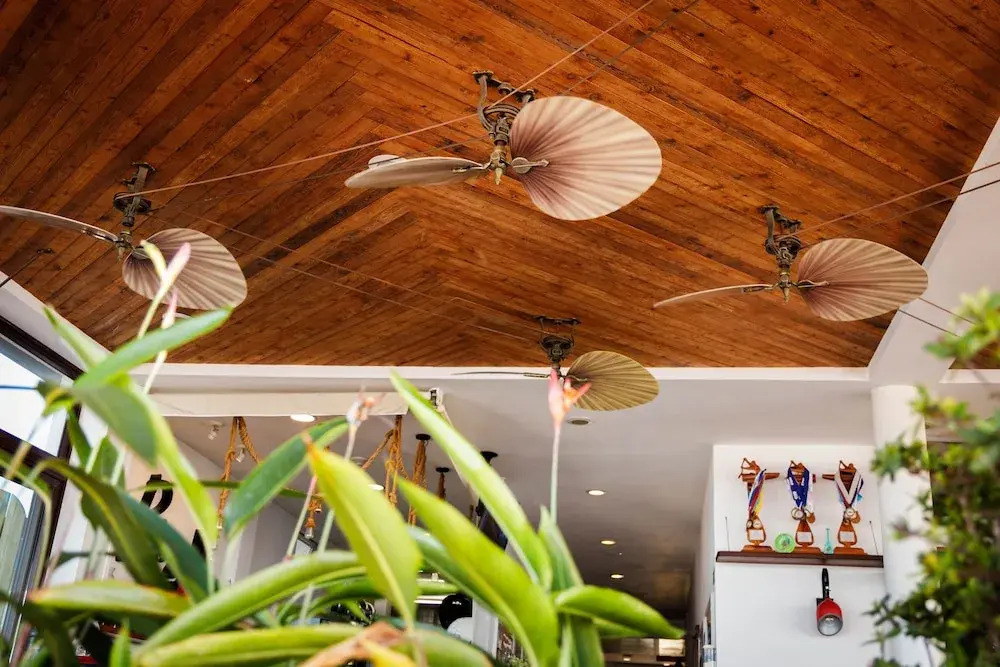 Photo - Divers Paradise Boutique Hotel