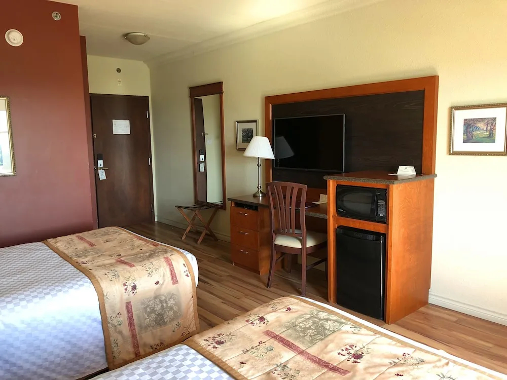 Foto - Hotel L'Oie des neiges