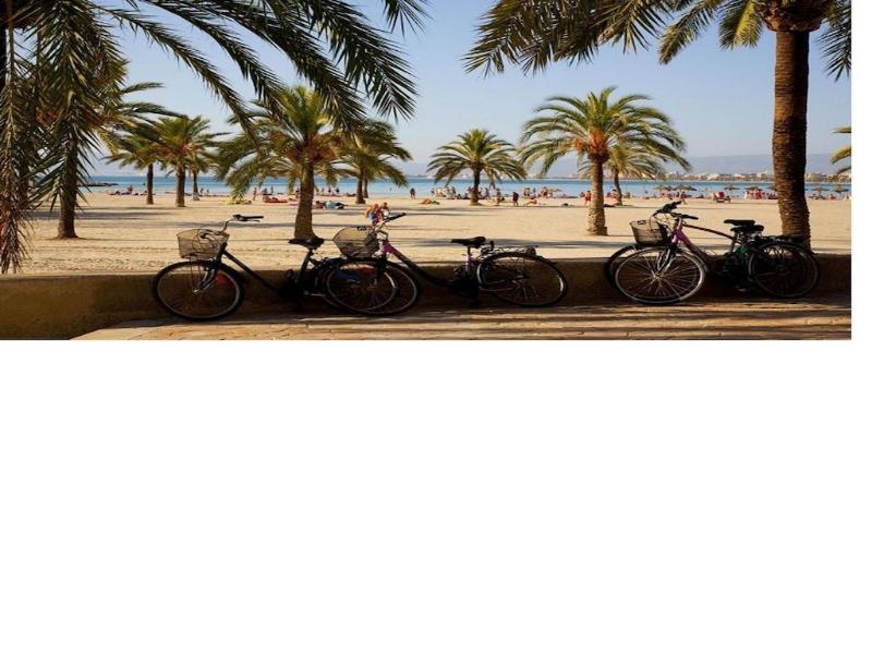 Photo - Hostal Sol de Mallorca.