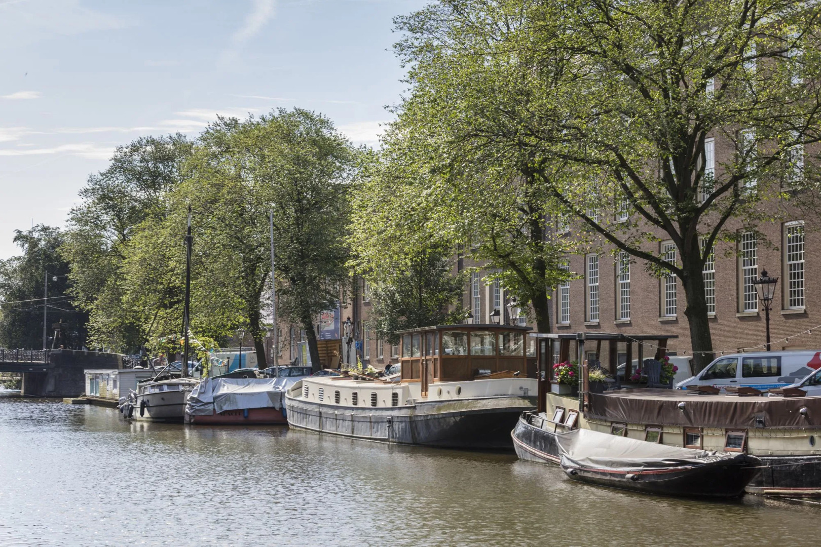 Foto - Wittenberg by Cove