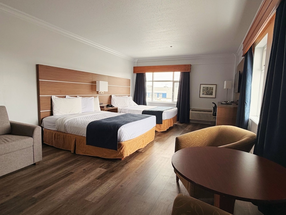Foto - Hotel L'Oie des neiges