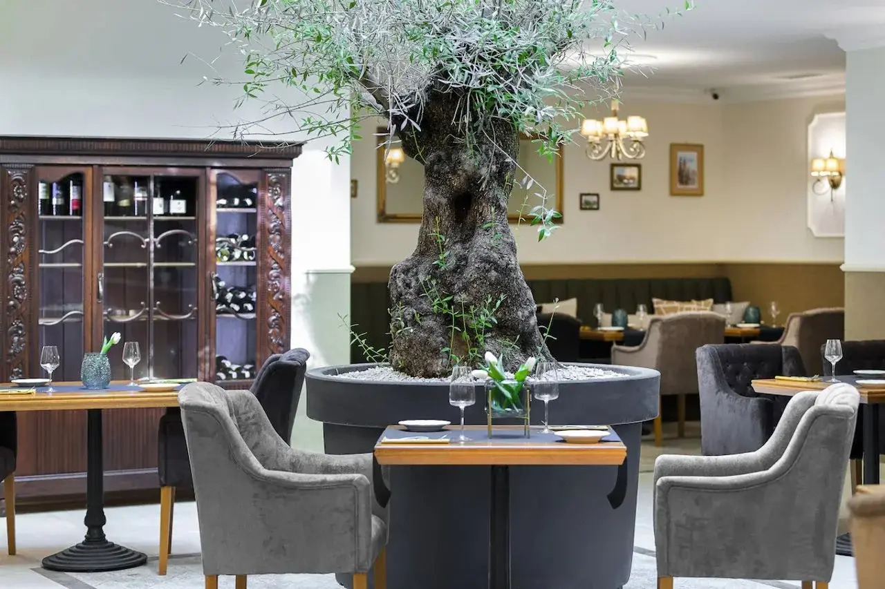 Foto - Ventus Rosa Boutique Aparthotel