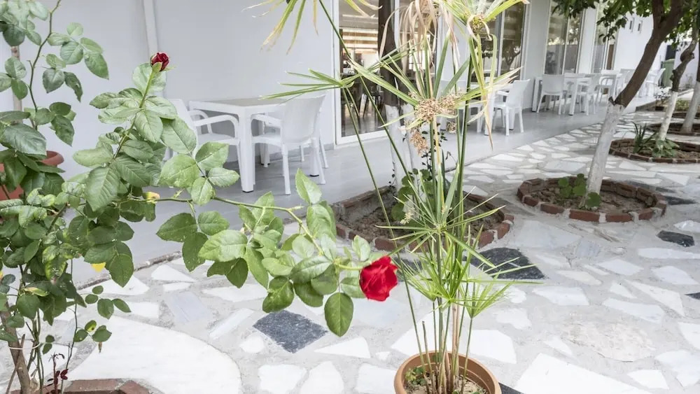 Foto - Si̇de Spri̇ng