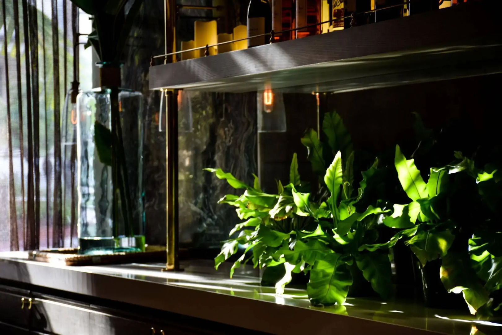 Foto - San Juan Hotel Miami Beach