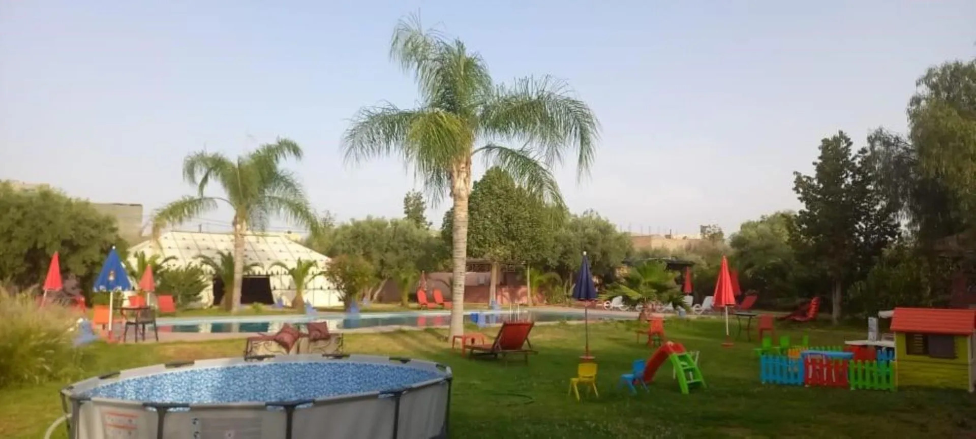 Foto - Las Palmeras Guest House