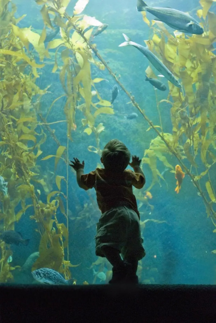 Foto - San Diego Marriott Gaslamp Quarter