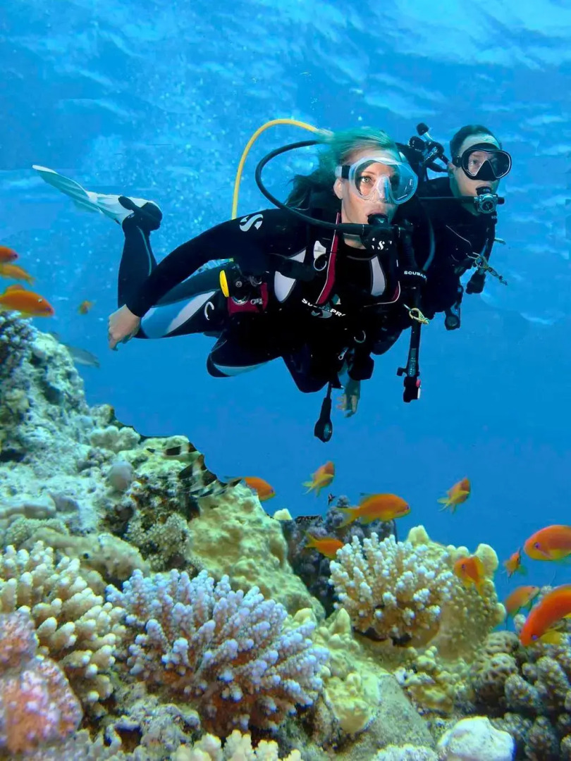 Foto - Steigenberger Aqua Magic, All inclusive