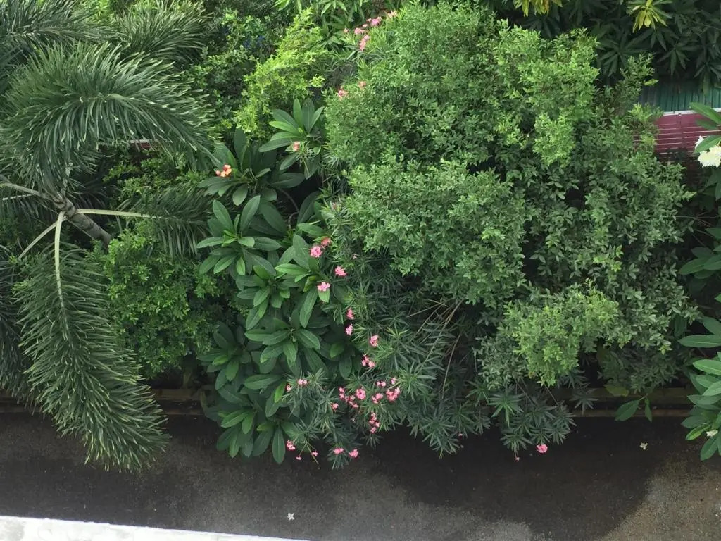 Foto - Nordwind Hotel