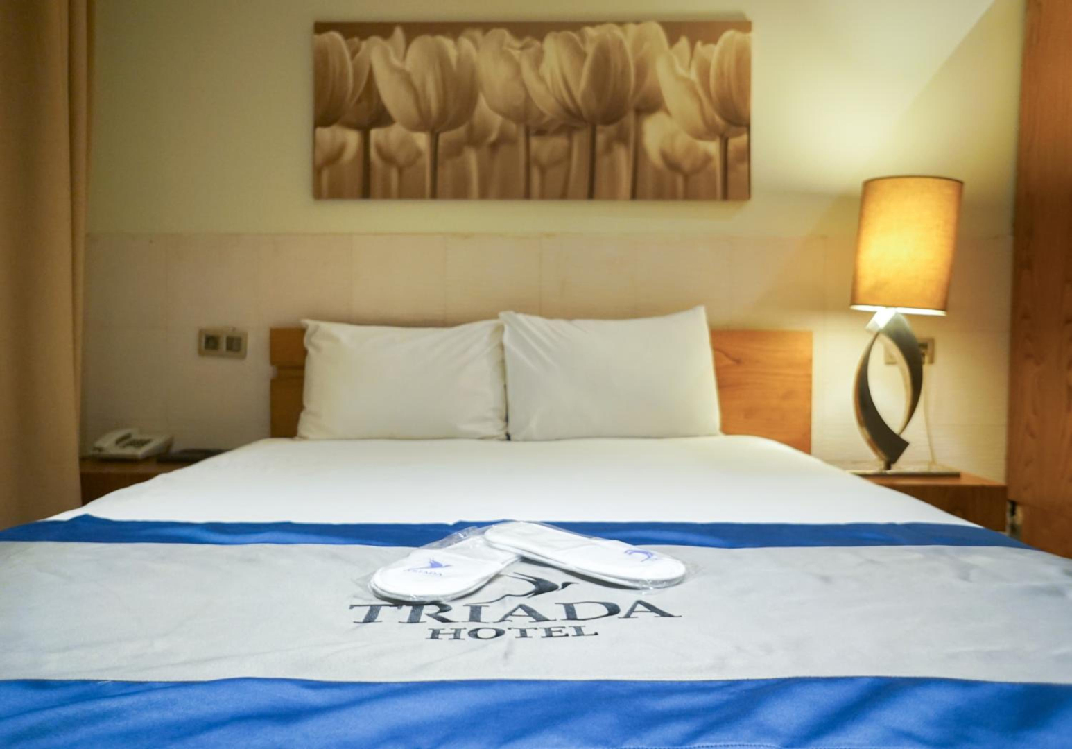 Photo - Triada Hotel Taksim - Special Category