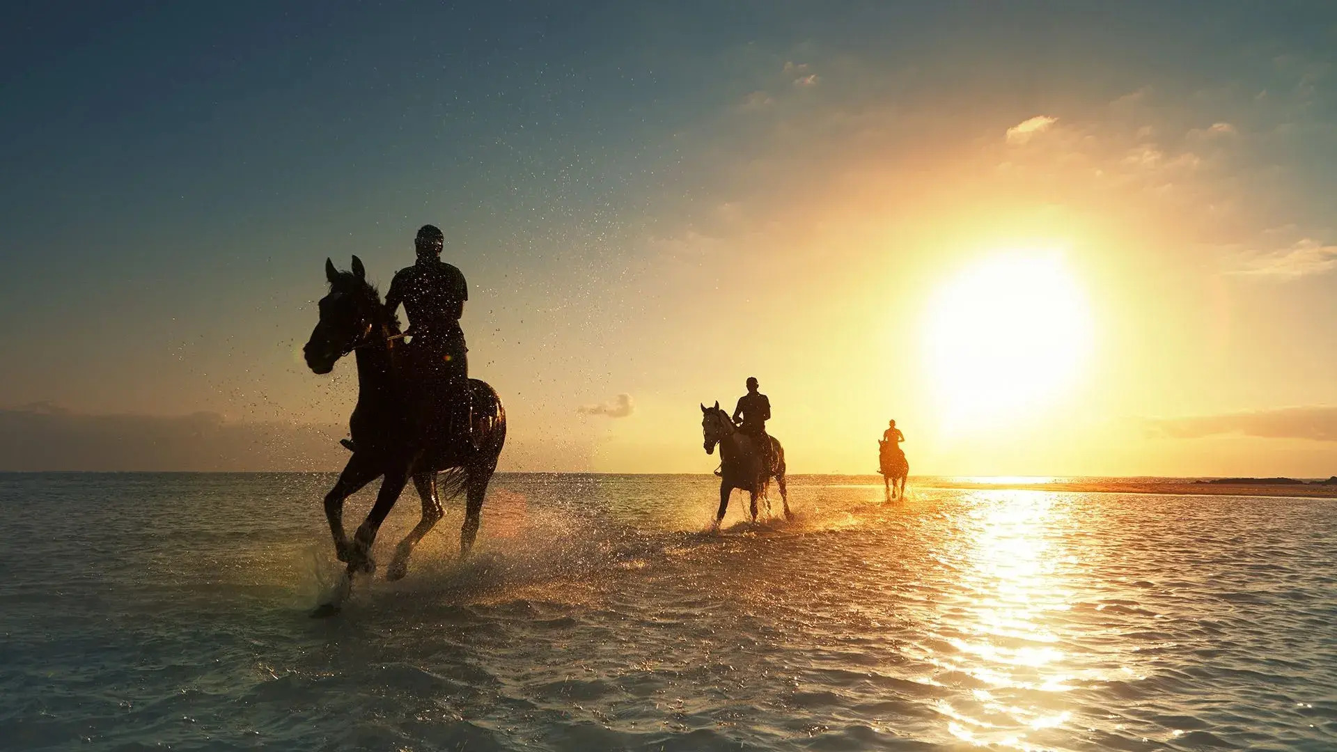 Foto - LUX* Belle Mare Resort & Villas