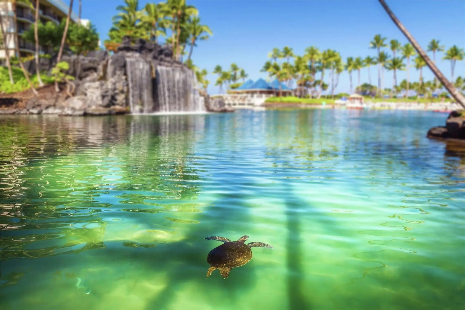 Photo - Hilton Waikoloa Village