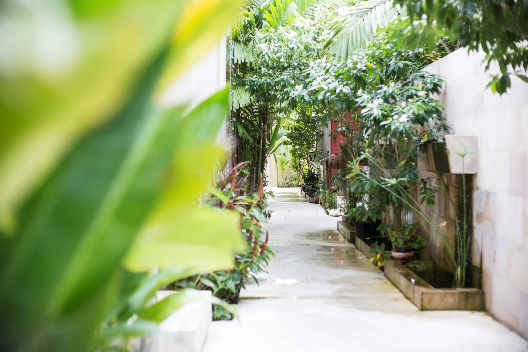 Foto - Avani Plus Samui Resort
