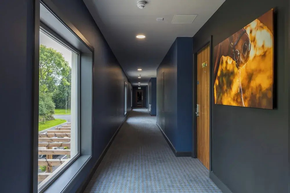 Photo - voco The Club - Dublin Gateway by IHG