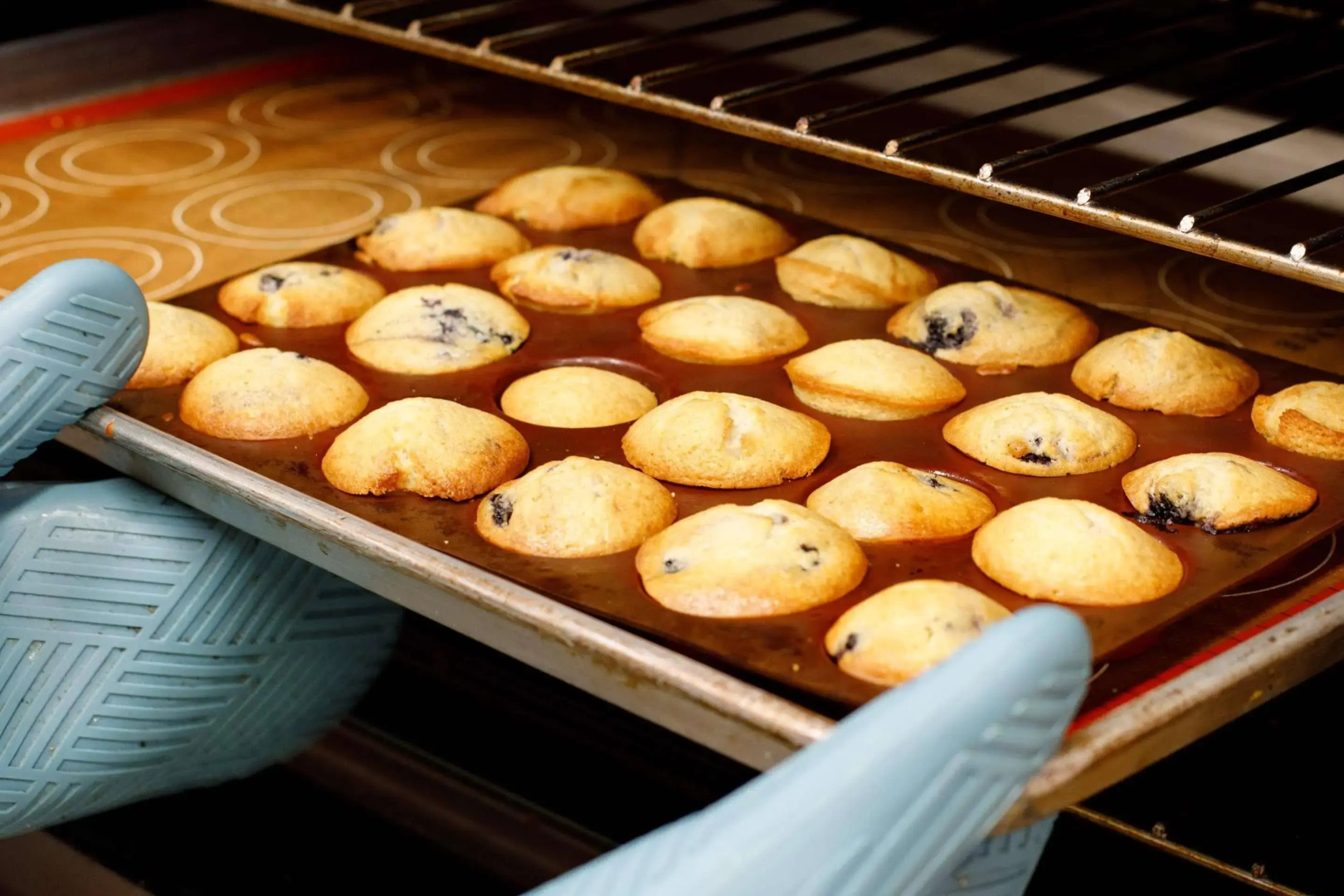 Photo - Best Western Plus Duncanville Dallas