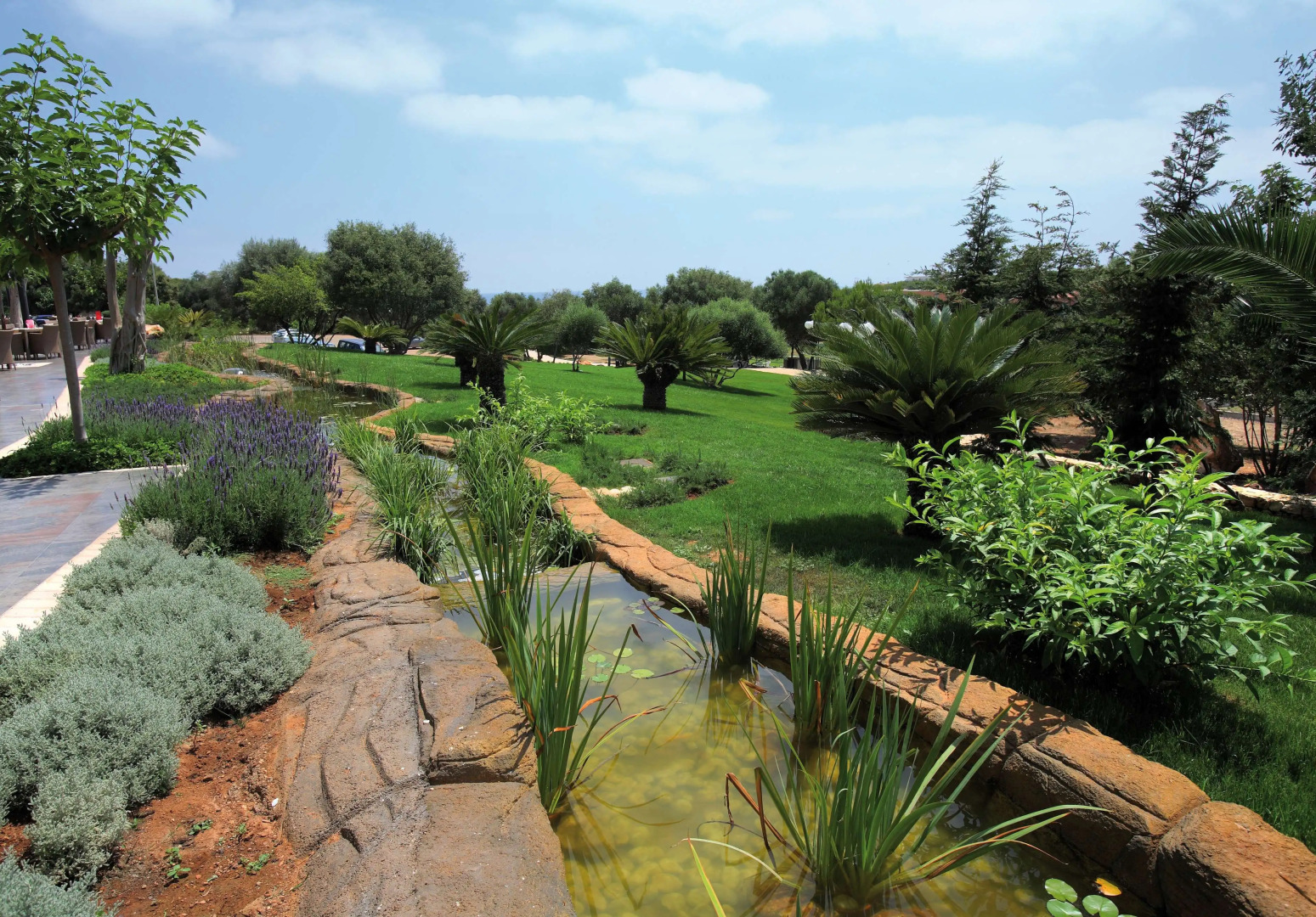 Photo - Seth Punta Prima