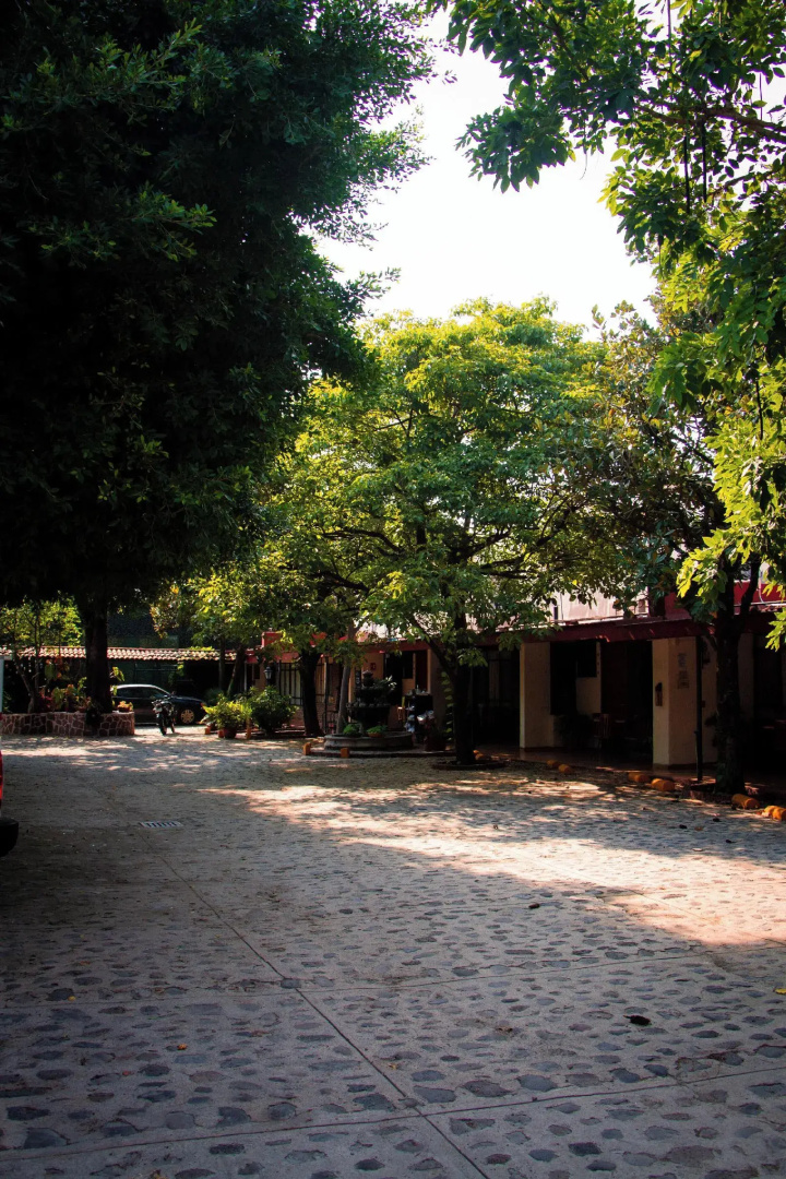 Foto - Hotel Isabel