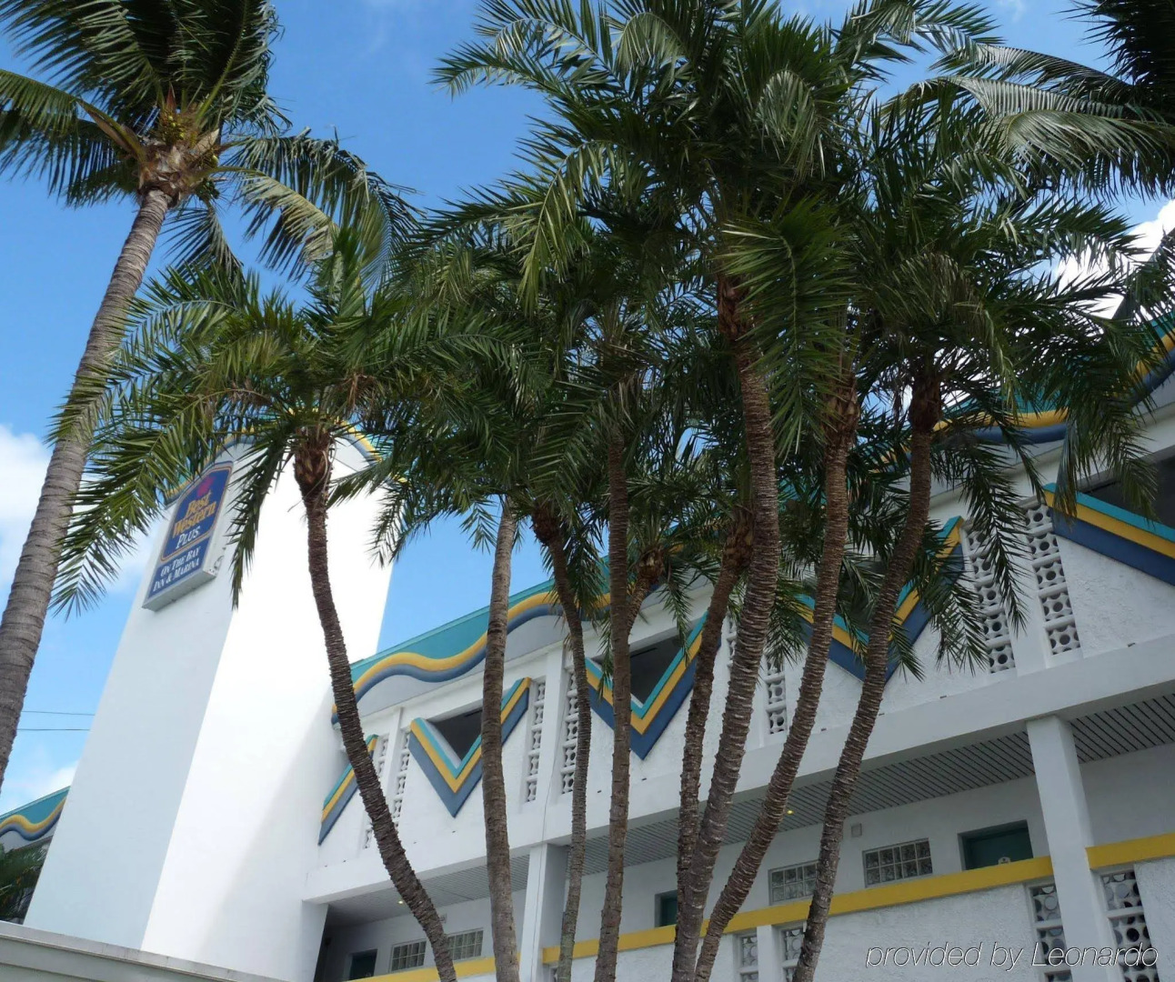 Foto - Palm Tree Club Miami