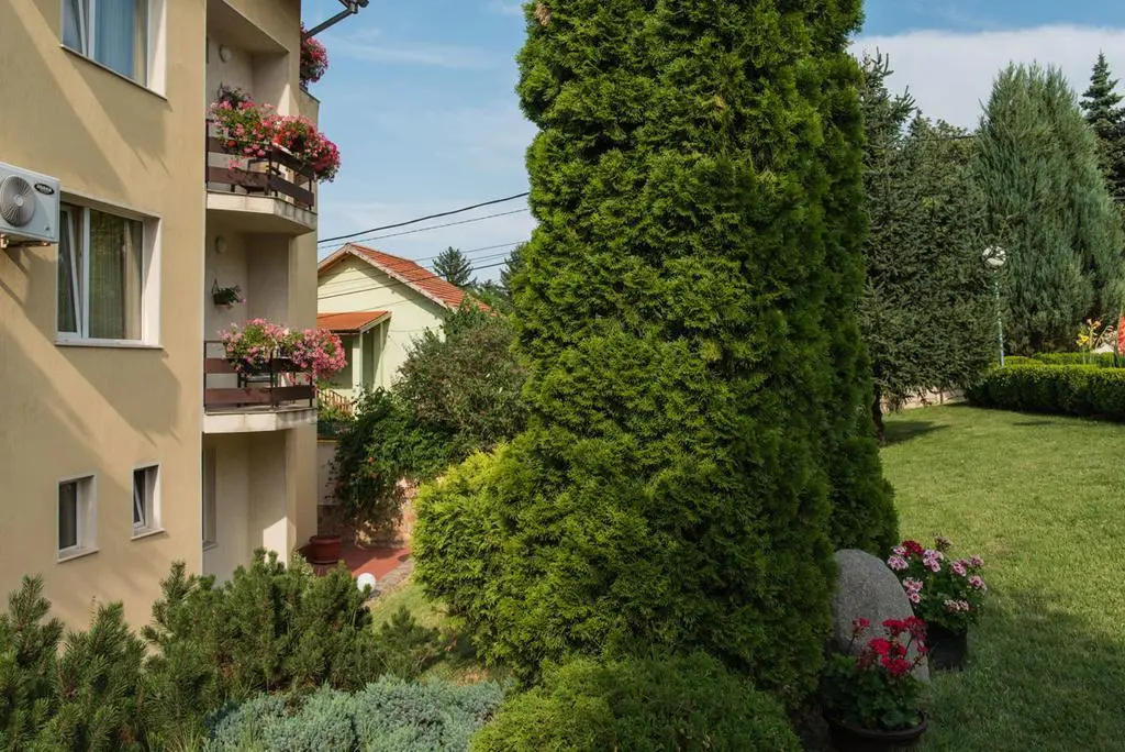Foto - Hotel Jasmin