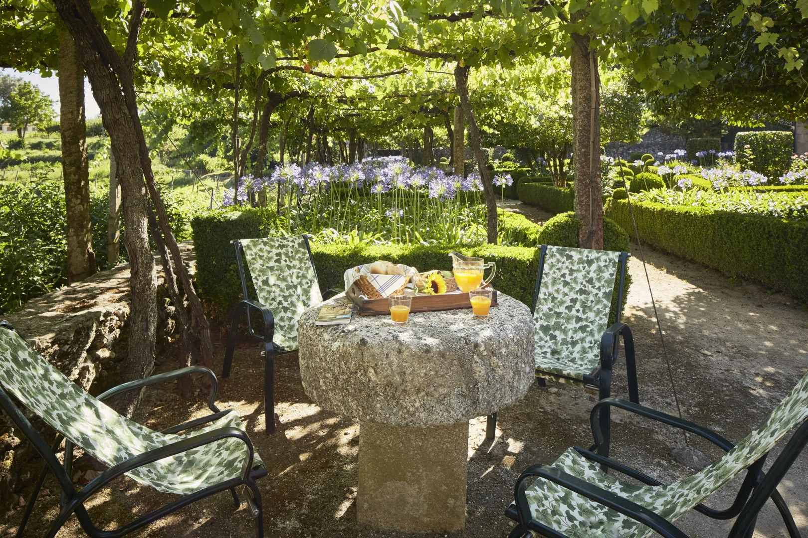 Foto - Casa de Canedo