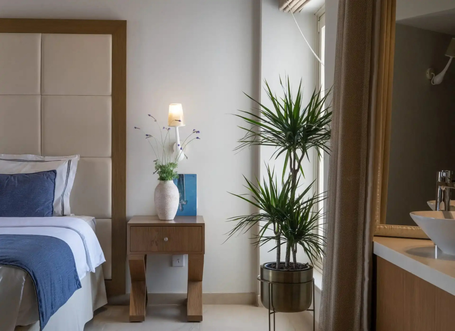 Foto - King Jason Paphos - Designed for Adults by Louis Hotels