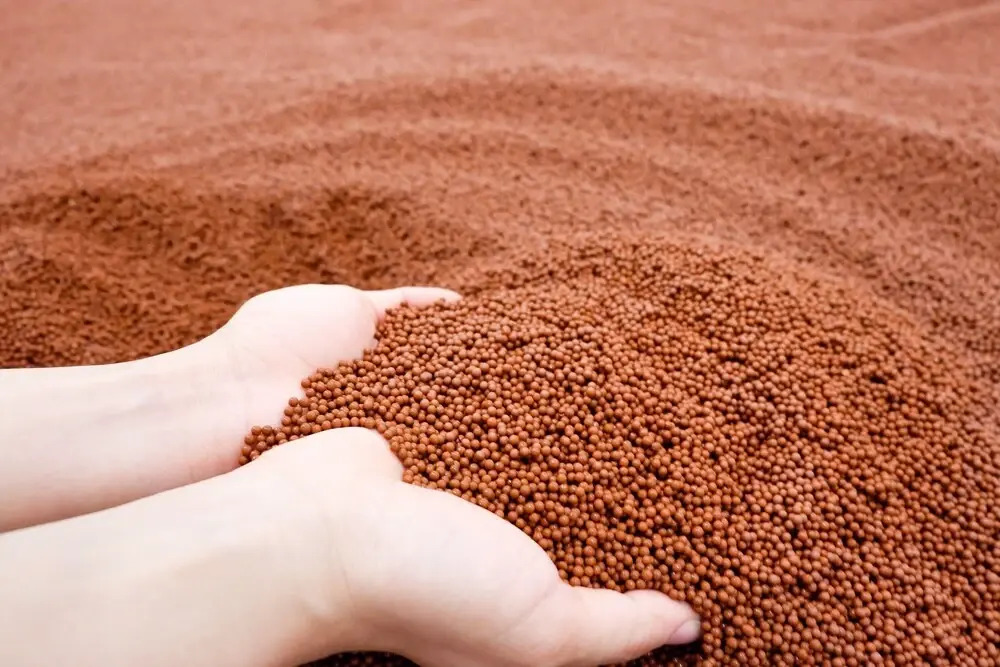 Photo - The Square 101