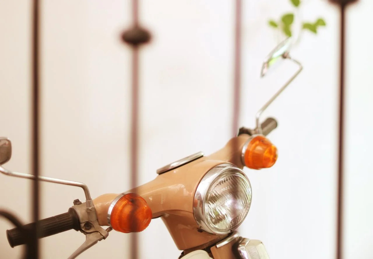 Foto - Brown Feather Batu Belig