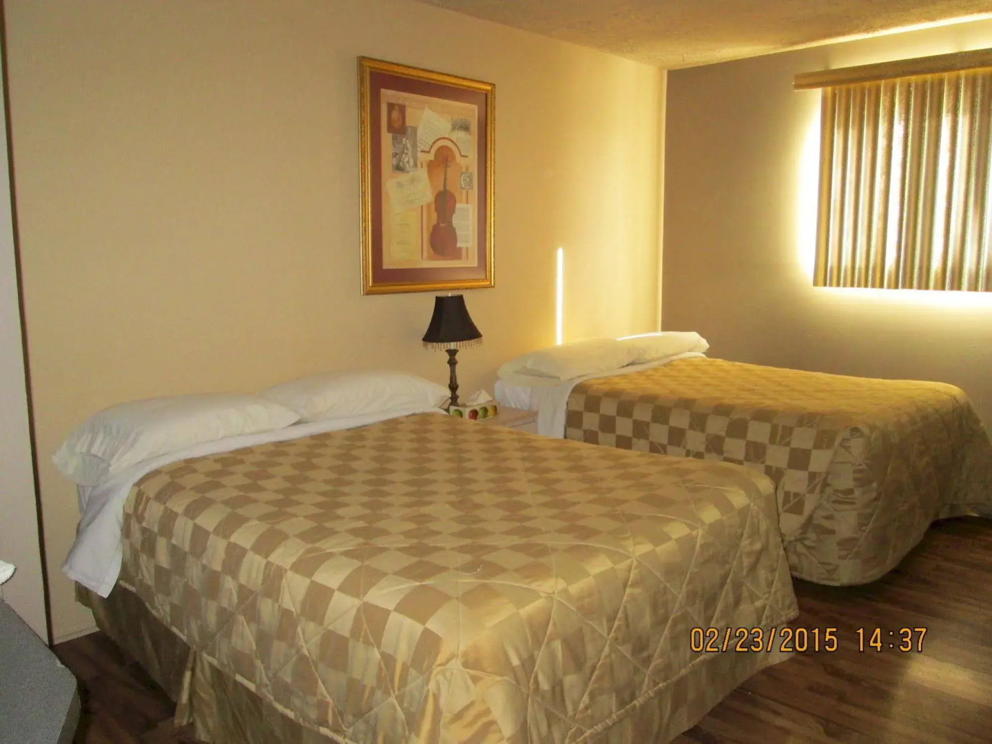 Foto - Motel Lustre d'Or