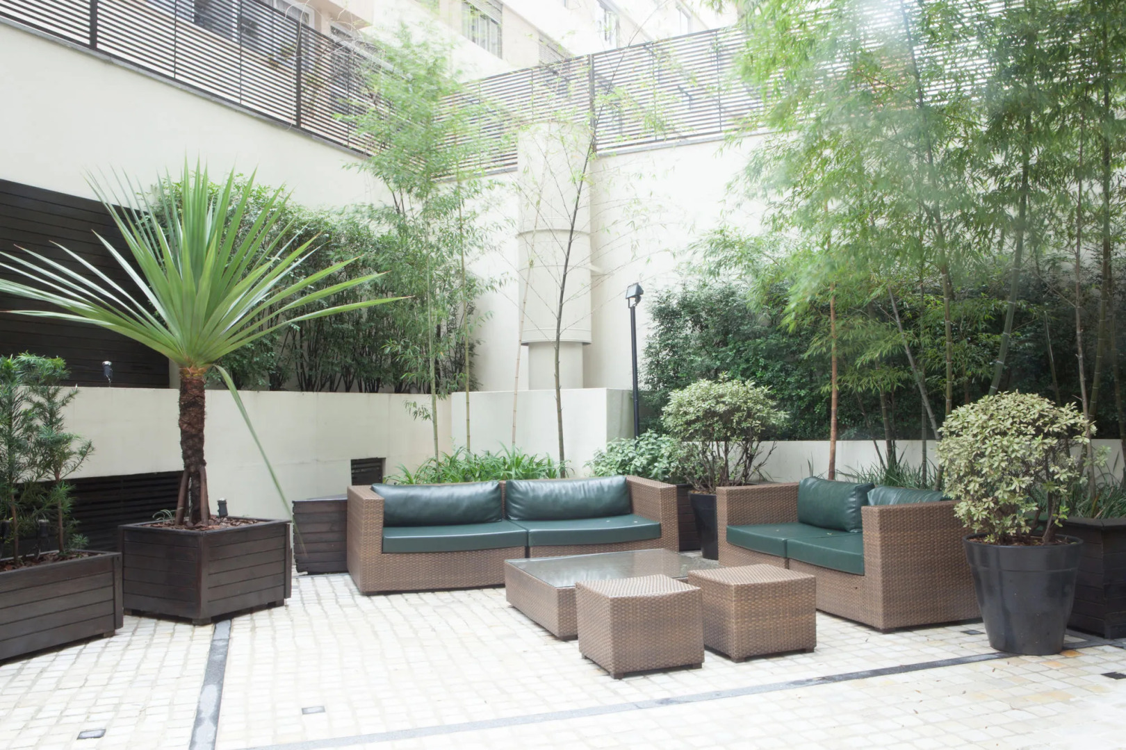 Foto - Royal Collection Paulista