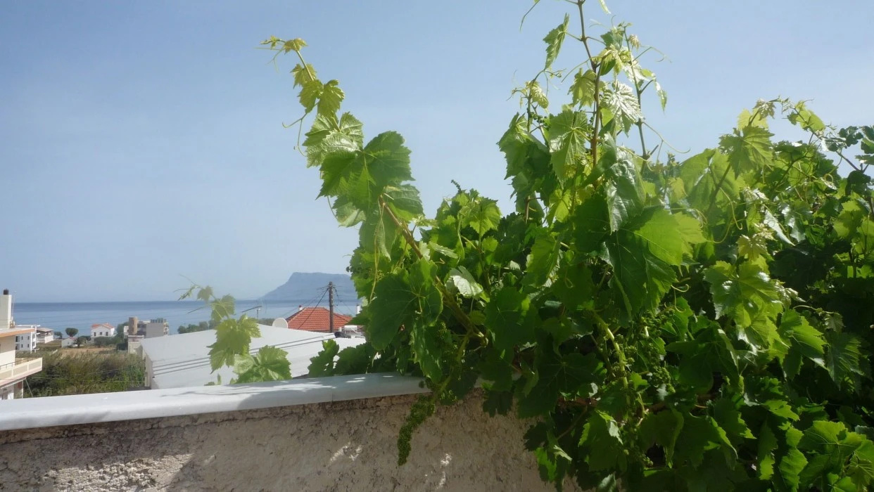 Foto - Kissamos Hotel