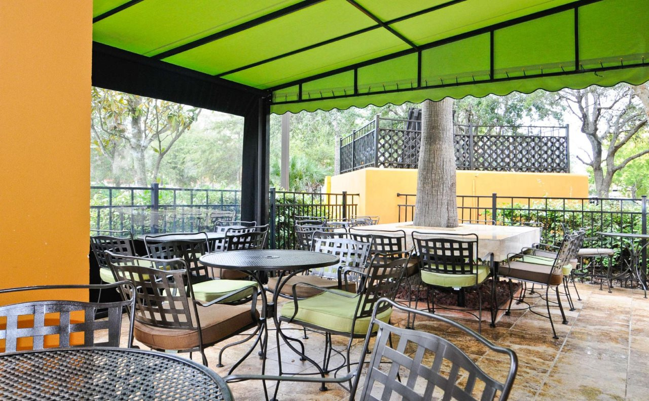 Photo - Spark by Hilton Orlando near SeaWorld